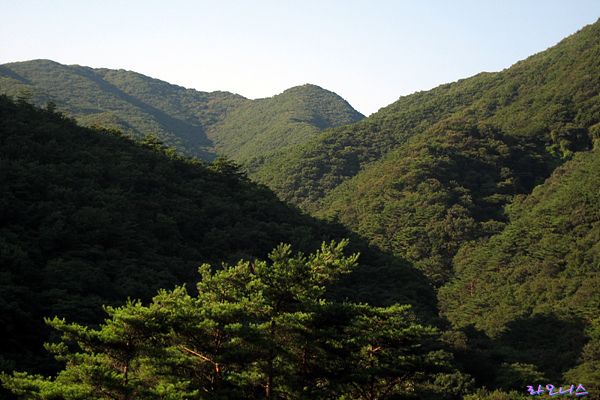 사용자 삽입 이미지