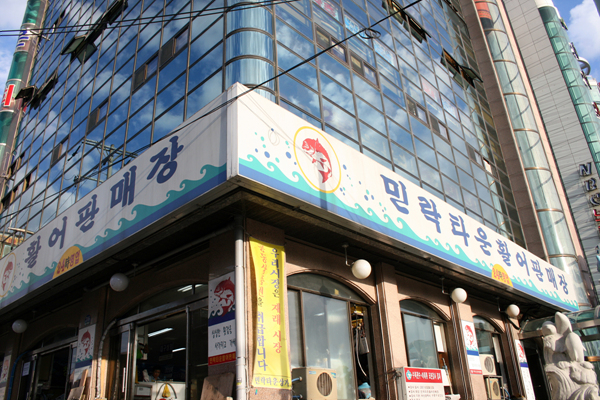 사용자 삽입 이미지